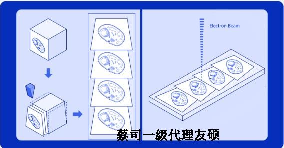 潼南蔡司潼南扫描电镜