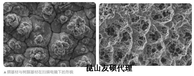 潼南蔡司潼南扫描电镜