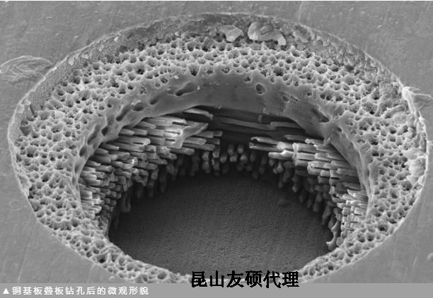 潼南蔡司潼南扫描电镜